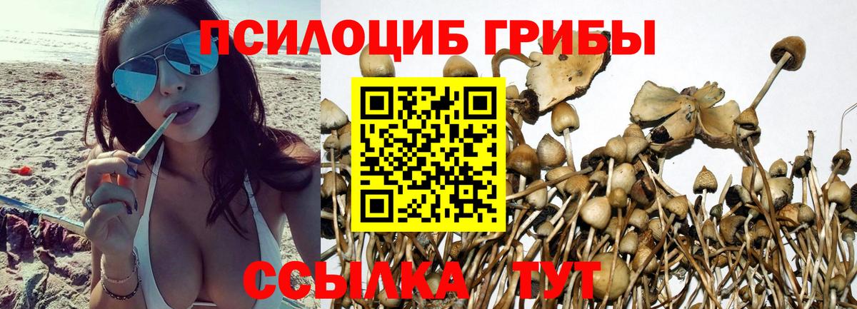 Галлюциногенные грибы прущие грибы  Вход с VPN  как найти закладки  Когалым 